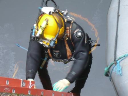 Diver at Work