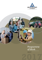 HSA Programme of Work 2017 front page preview
              