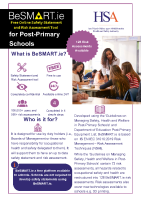 BeSMART.ie Post Primary Schools Leaflet front page preview
              