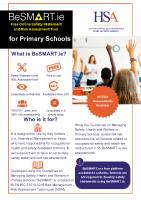 BeSMART.ie Primary School Leaflet front page preview
              