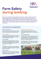 Farm Safety During Lambing front page preview
              
