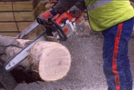 Timber01