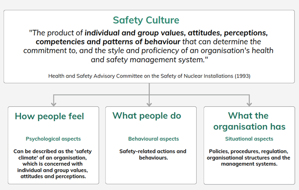 (based on Health and Safety Executive, 2005; Cooper, 2000)