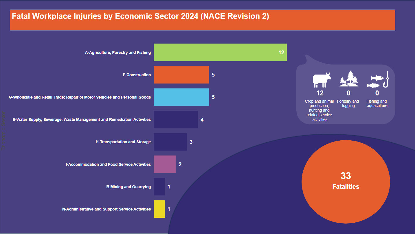 Fatal-Workplace-Injuries-by-Economic-Sector-2024-(NACE-Revision-2)-02.01.2025