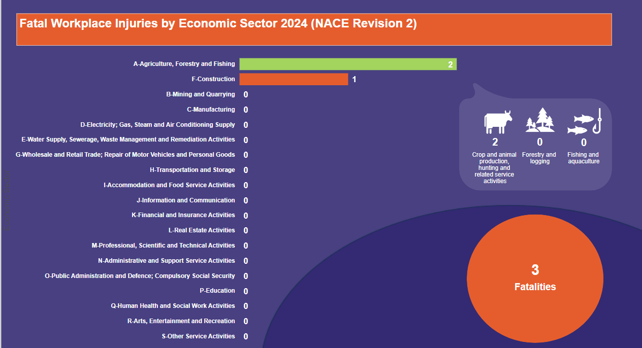 Fatal-Workplace-Injuries-by-Economic-Sector-2024-(NACE-Revision-2)-07.02.2024