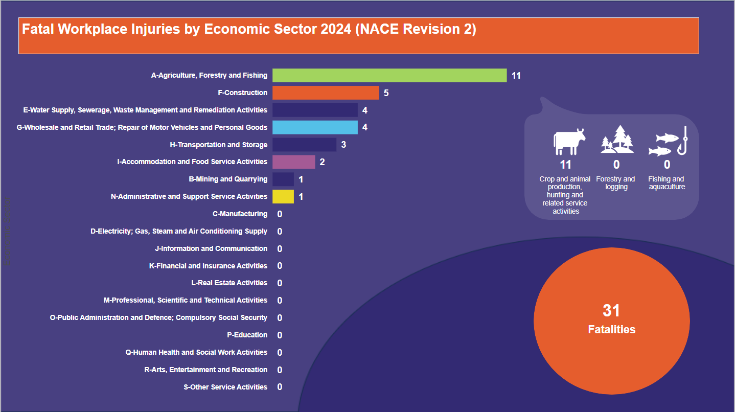 Fatal-Workplace-Injuries-by-Economic-Sector-2024-(NACE-Revision-2)-18.12.2024