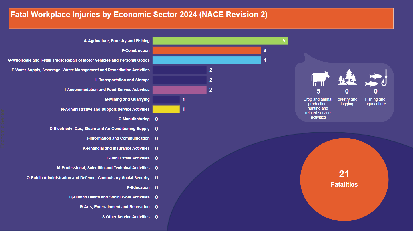 Fatal-Workplace-Injuries-by-Economic-Sector-2024-(NACE-Revision-2)-23.07.2024