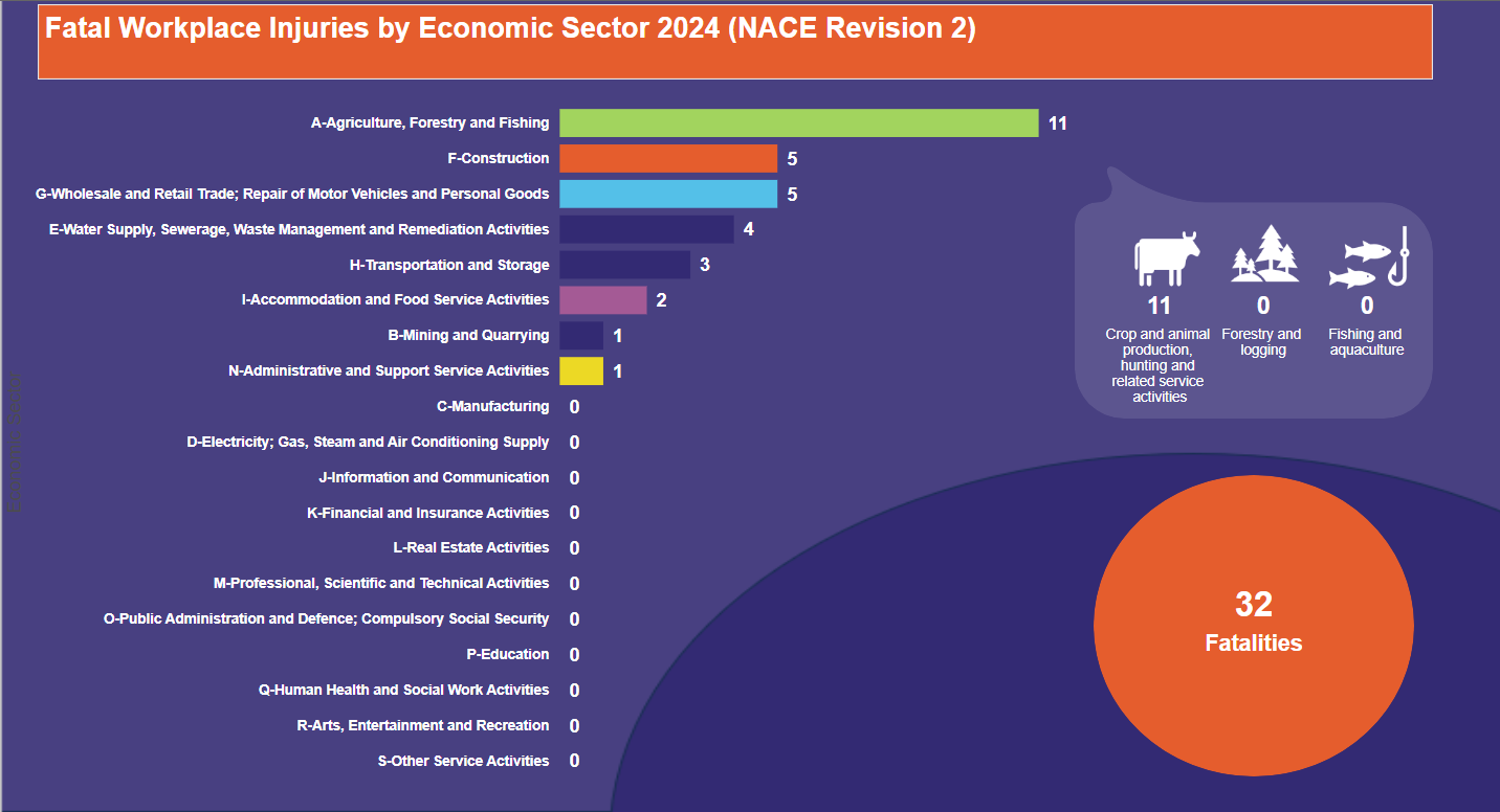 Fatal-Workplace-Injuries-by-Economic-Sector-2024-(NACE-Revision-2)-23.12.2024