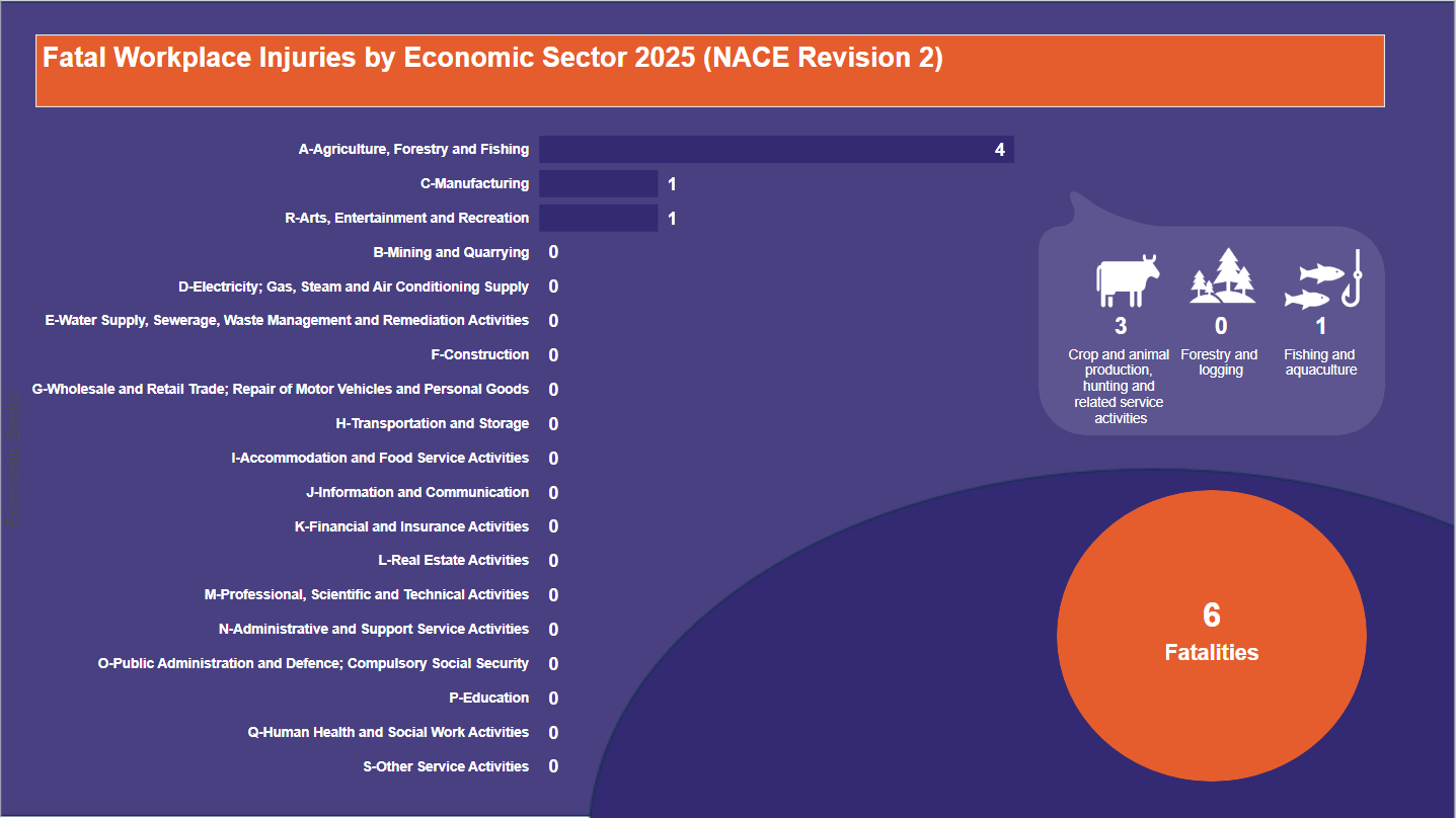 Fatal-Workplace-Injuries-by-Economic-Sector-2025-(NACE-Revision-2)-10.03.2025