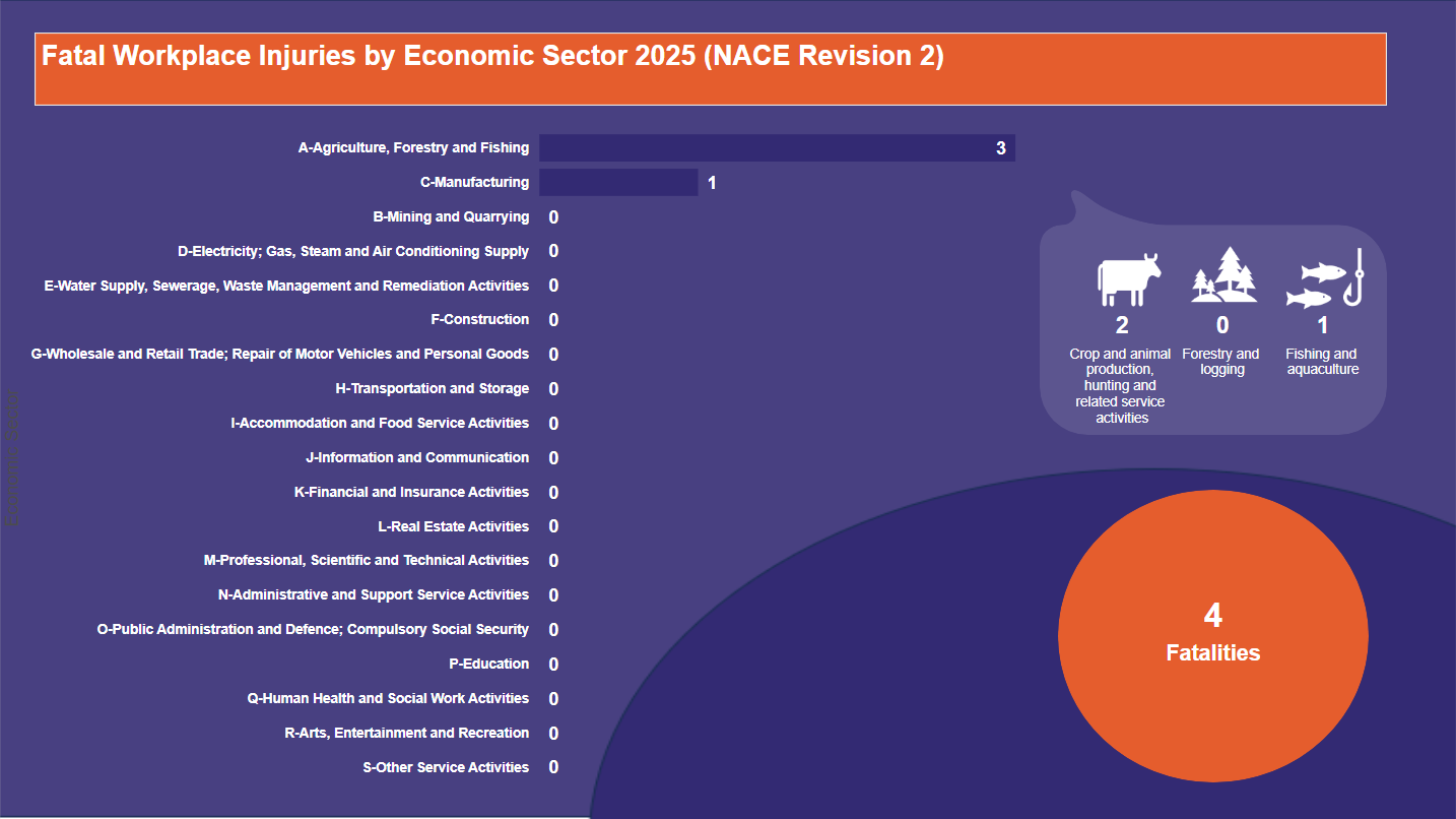 Fatal-Workplace-Injuries-by-Economic-Sector-2025-(NACE-Revision-2)-11.02.2025