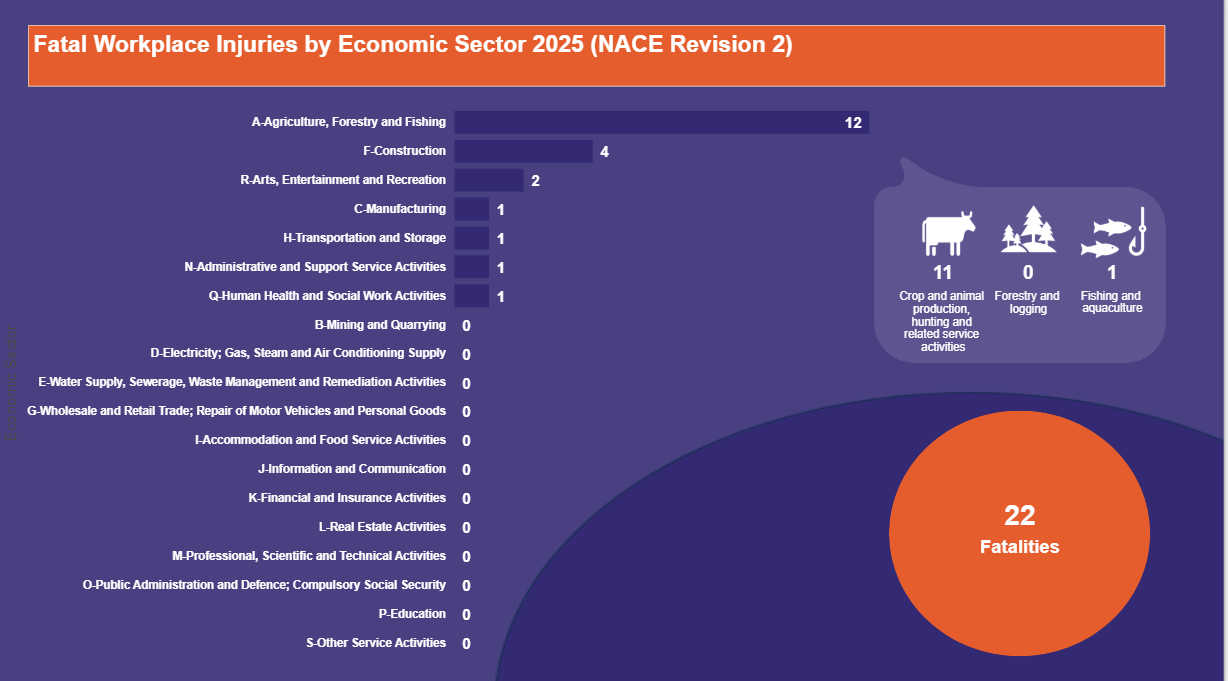 Fatal-Workplace-Injuries-by-Economic-Sector-2025-(NACE-Revision-2)-11.07.2025