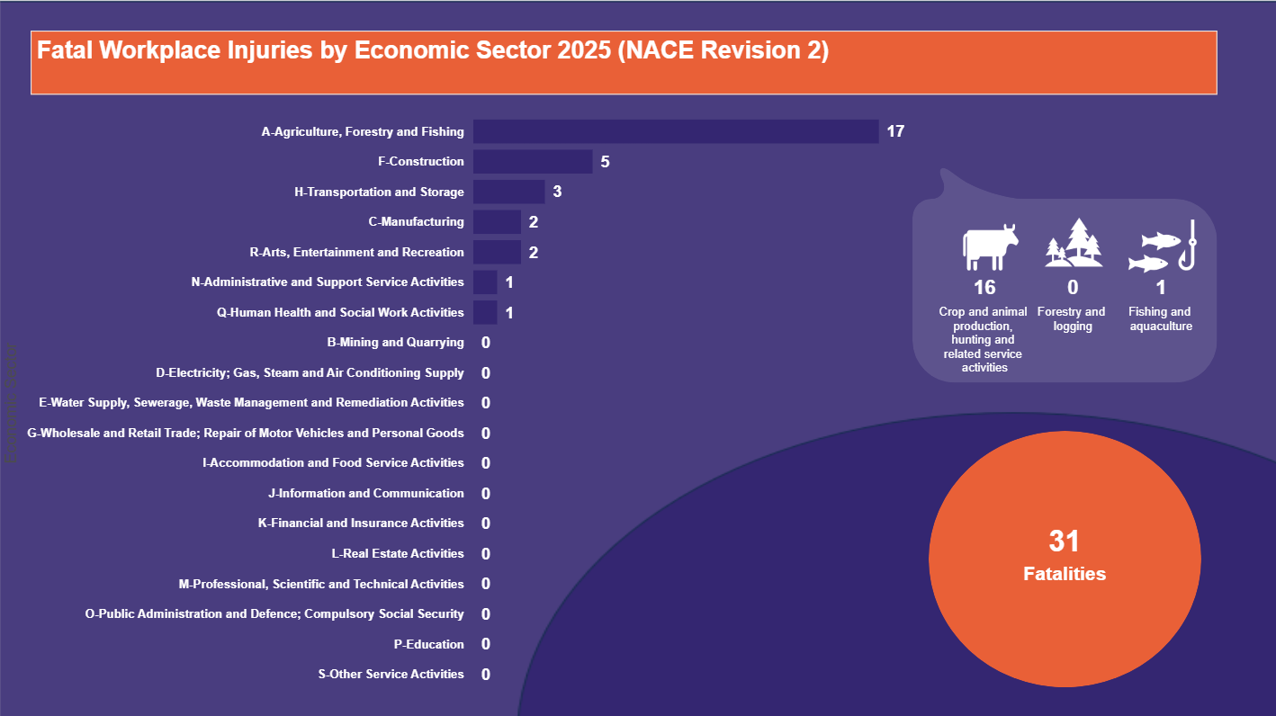 Fatal-Workplace-Injuries-by-Economic-Sector-2025-(NACE-Revision-2)-12.09.2025