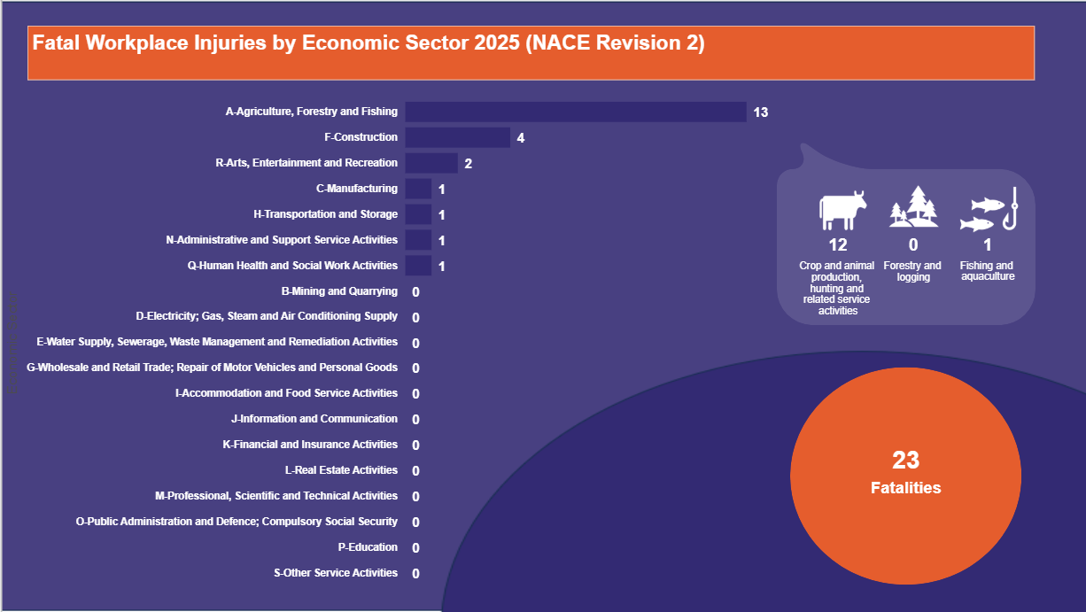 Fatal-Workplace-Injuries-by-Economic-Sector-2025-(NACE-Revision-2)-15.07.2025