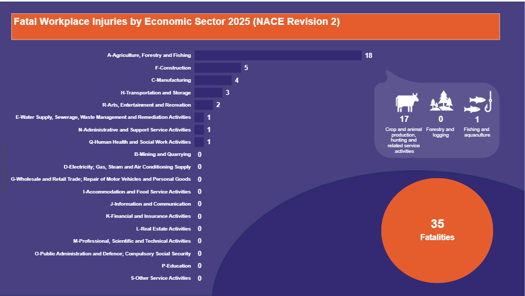 Fatal-Workplace-Injuries-by-Economic-Sector-2025-(NACE-Revision-2)-17.10.2025-v2