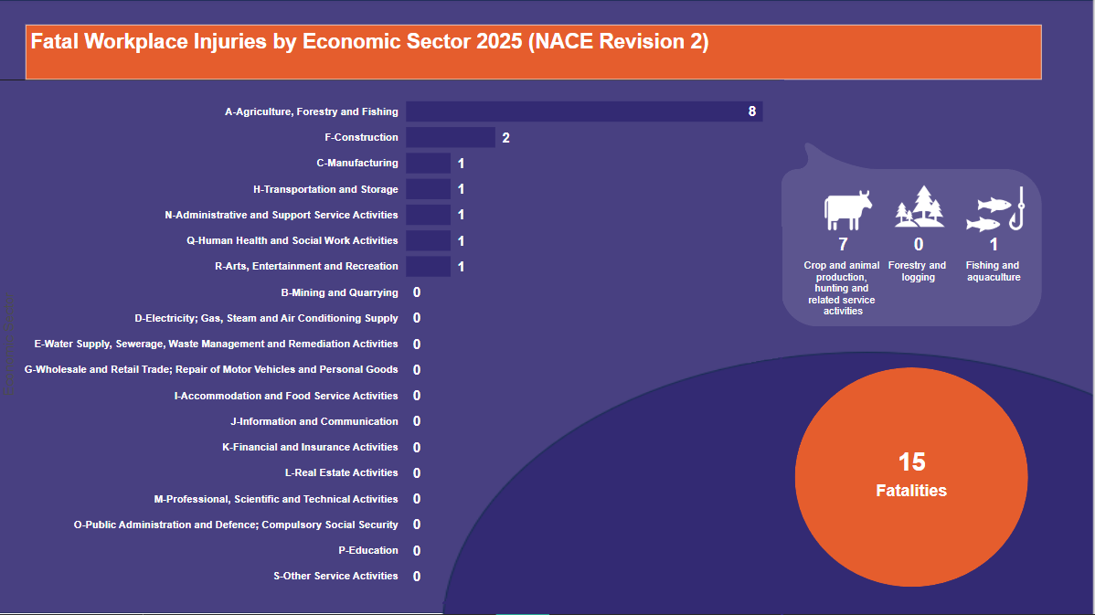 Fatal-Workplace-Injuries-by-Economic-Sector-2025-(NACE-Revision-2)-20.06.2025-updated