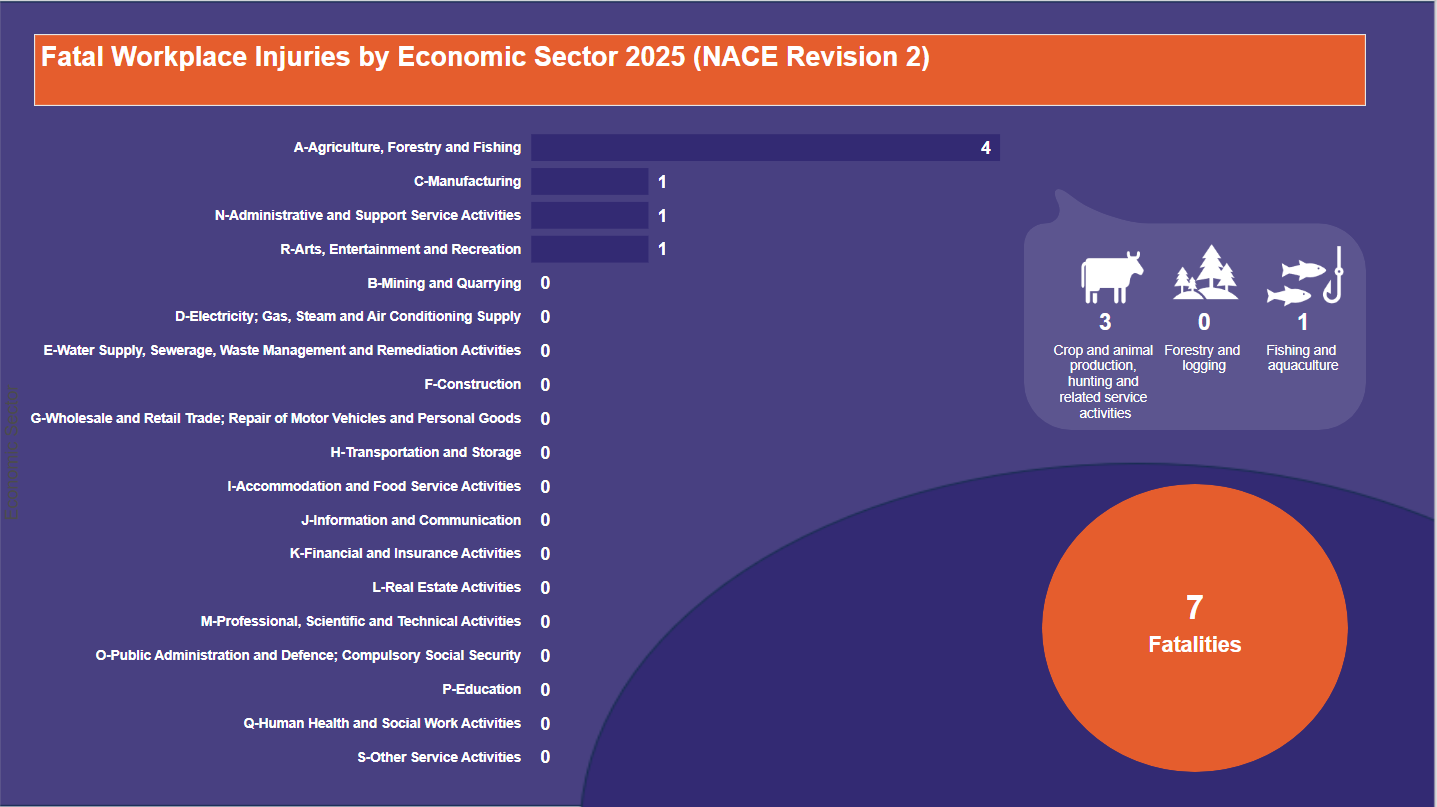 Fatal-Workplace-Injuries-by-Economic-Sector-2025-(NACE-Revision-2)-24.03-2026