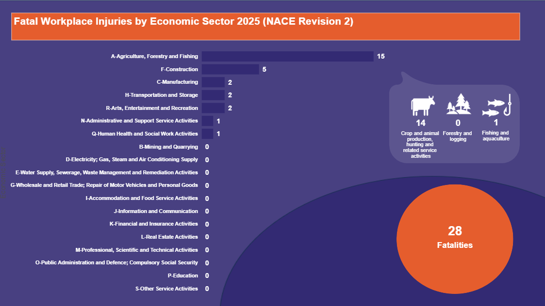 Fatal-Workplace-Injuries-by-Economic-Sector-2025-(NACE-Revision-2)-26.08.2025