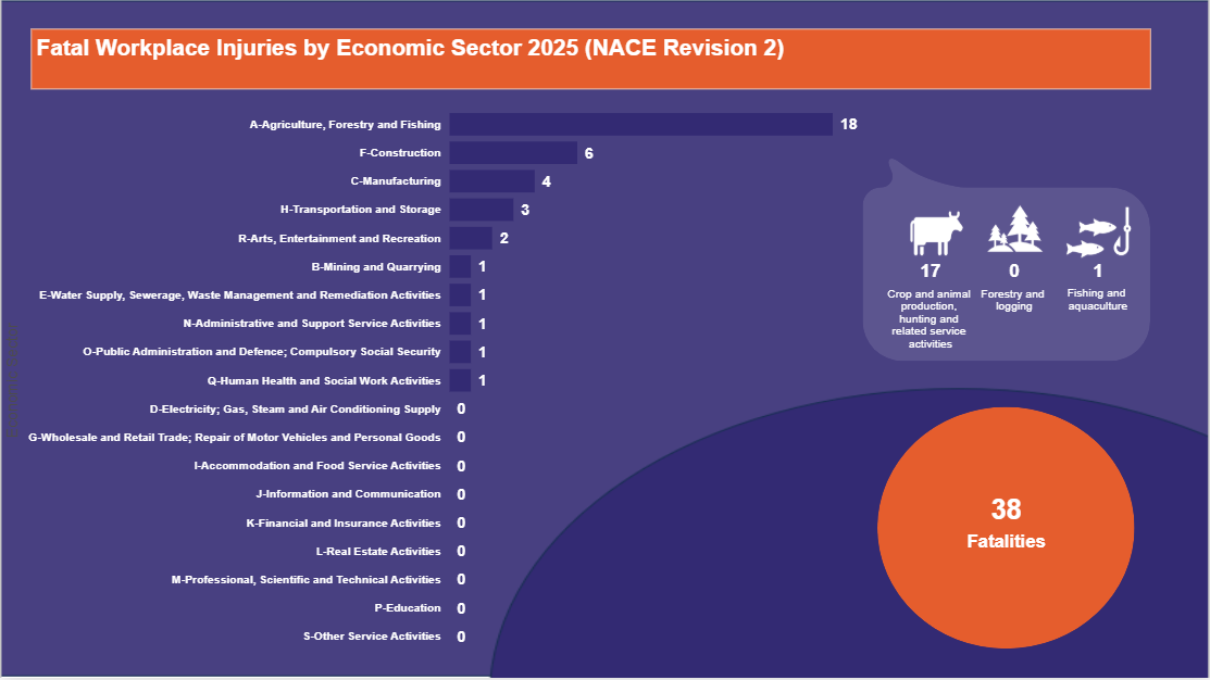 Fatal-Workplace-Injuries-by-Economic-Sector-2025-(NACE-Revision-2)-28.10.2025