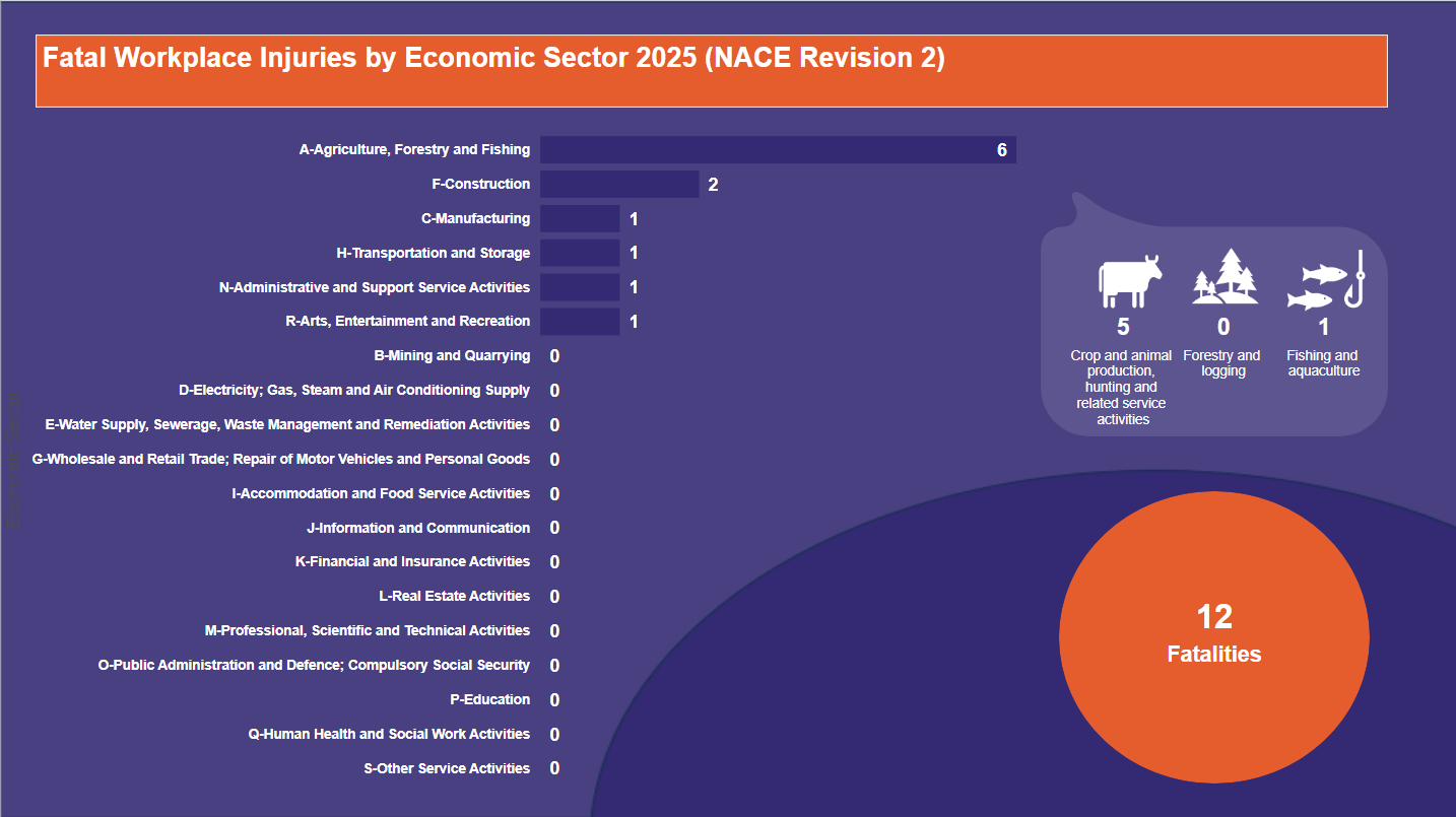 Fatal-Workplace-Injuries-by-Economic-Sector-2025-(NACE-Revision-2)-29.05-2027