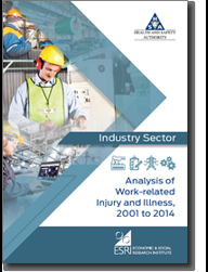 Research Programme on Health Safety and wellbeing at Work - Industry Sector thumbnail