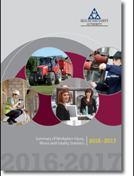 Statistics Report 2017 thumbnail