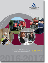 Statistics Report 2017 thumbnail