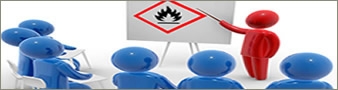Information In The Supply Chain