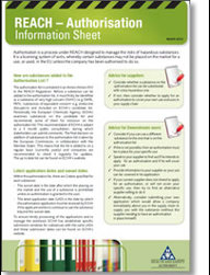 REACH Authorisation Information Sheet thumbnail