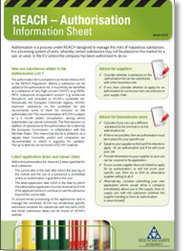 REACH Authorisation Information Sheet thumbnail