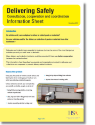 Delivering Safely Information Sheet thumbnail