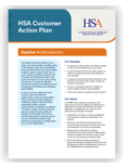 Customer Action Plan thumbnail