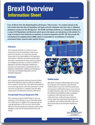 Brexit Overview Information Sheet thumbnail