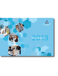 Annual Report 2013 thumbnail