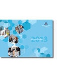 Annual Report 2013 thumbnail