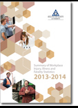 Statistics Report 2014 thumbnail