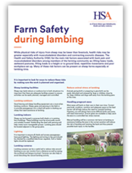 Farm Safety During Lambing thumbnail