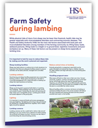 Farm Safety During Lambing thumbnail