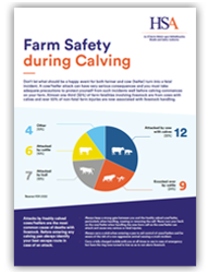 Farm Safety During Calving thumbnail
