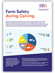 Farm Safety During Calving thumbnail