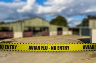 Avian Flu iStock-628092832---avian-flu