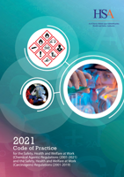 2021 Code of Practice for the Chemical Agents and Carcinogens Regulations thumbnail