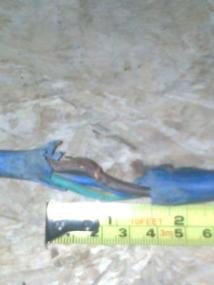 Damaged cable insulation Damaged cable insulation