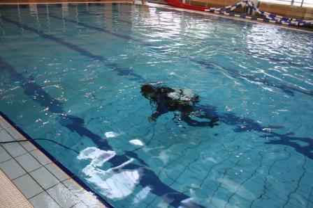 Diver in Pool Diver in Pool