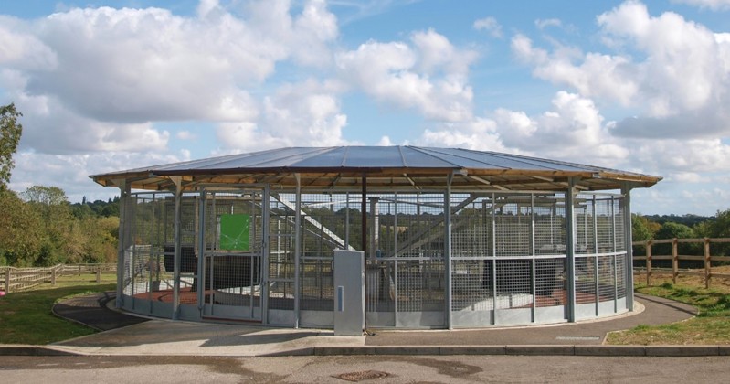 Horse-Walkers Horse-Walkers