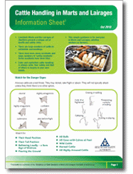Cattle Handling in Marts and Lairages Information Sheet thumbnail