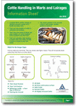 Cattle Handling in Marts and Lairages Information Sheet thumbnail
