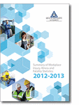 Statistics Report 2013 thumbnail