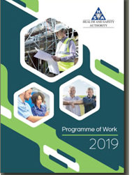 Programme of Work 2019 thumbnail