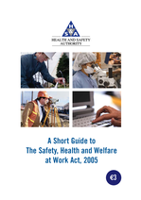 Short Guide to the Safety, Health and Welfare at work Act 2005 thumbnail