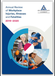 Annual Review of Workplace Injuries, Illnesses and Fatalities 2019–2020 thumbnail
